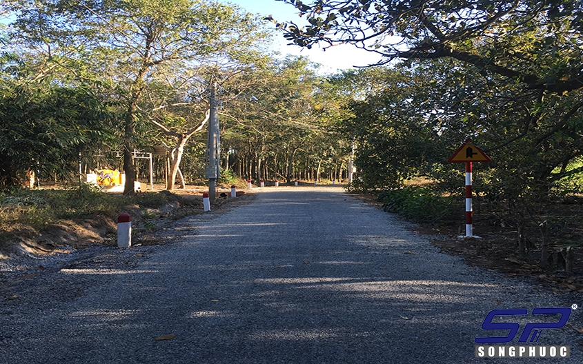 Đường nông thôn mới xã Phước Bình